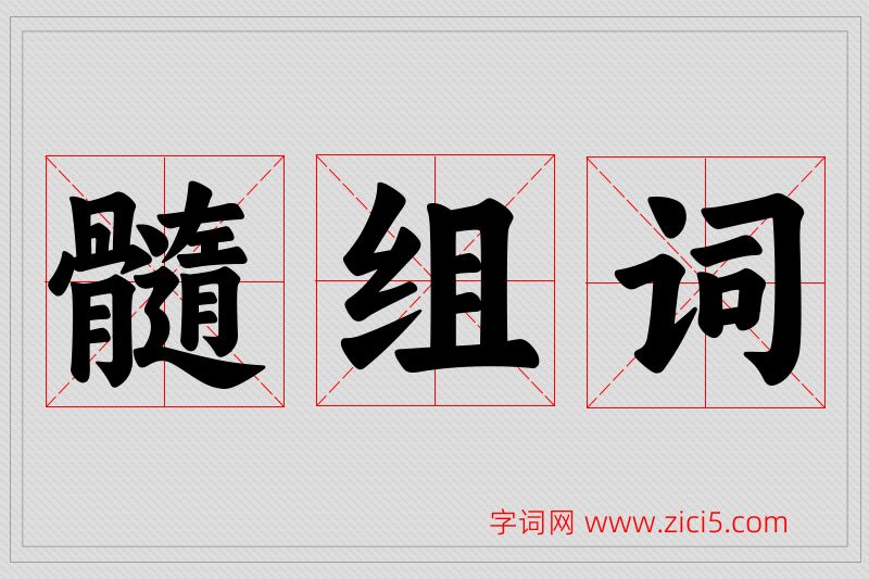 髓字的组词