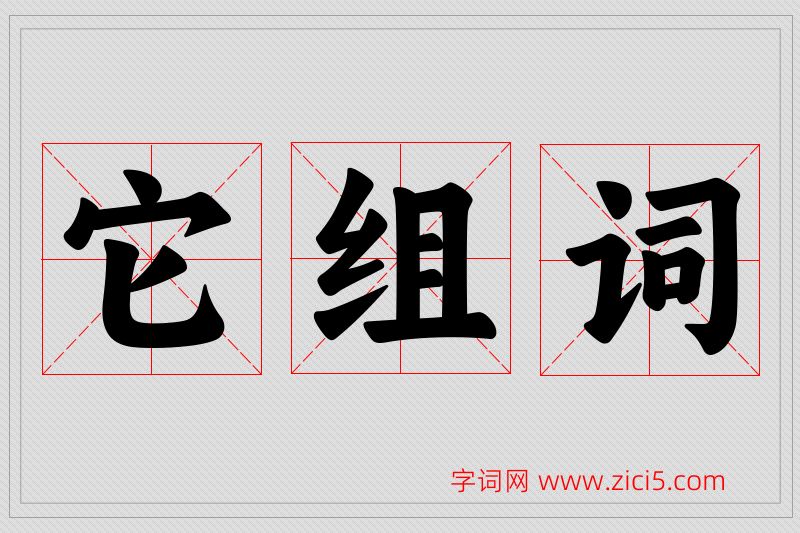 它字的组词