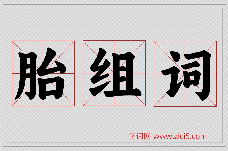 胎字的组词