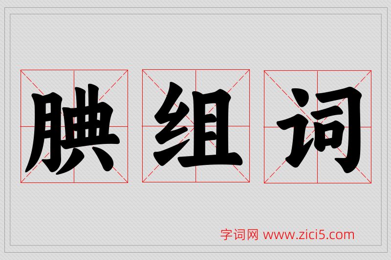 腆字的组词
