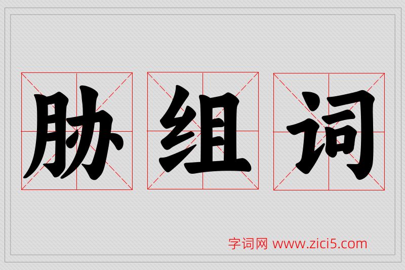 胁字的组词