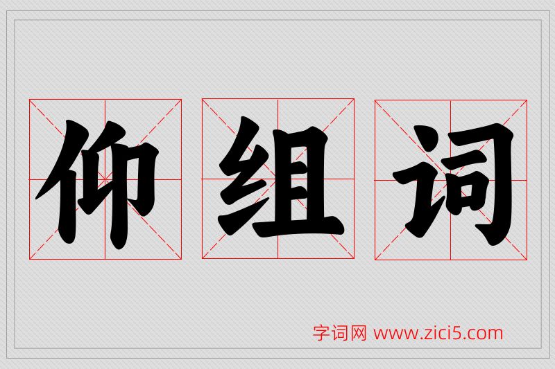 仰字的组词
