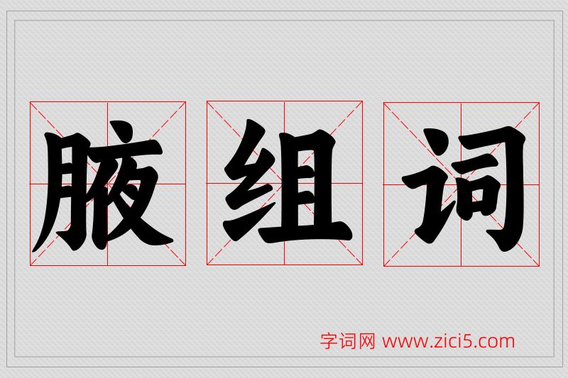 腋字的组词