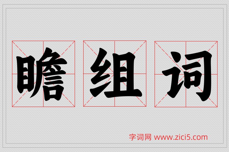 瞻字的组词
