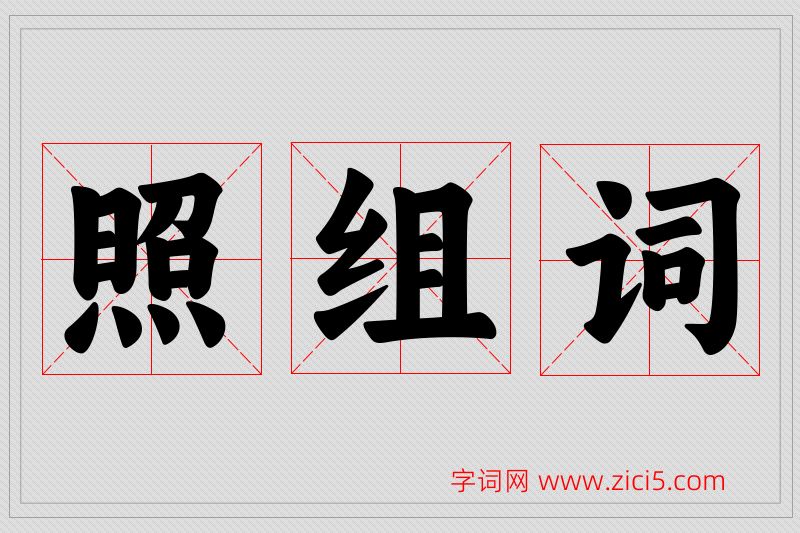 照字的组词