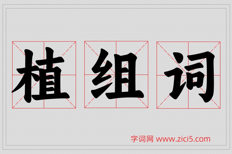 植字的组词