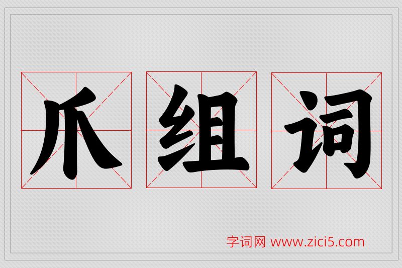 爪字的组词