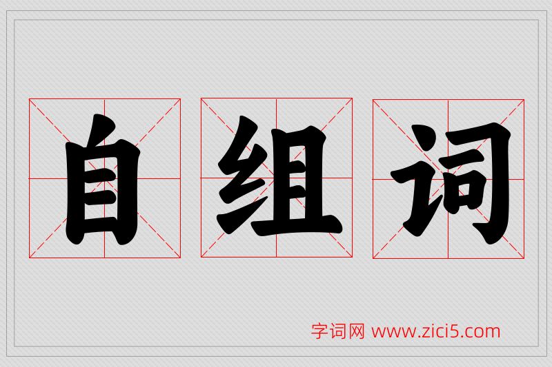 自字的组词