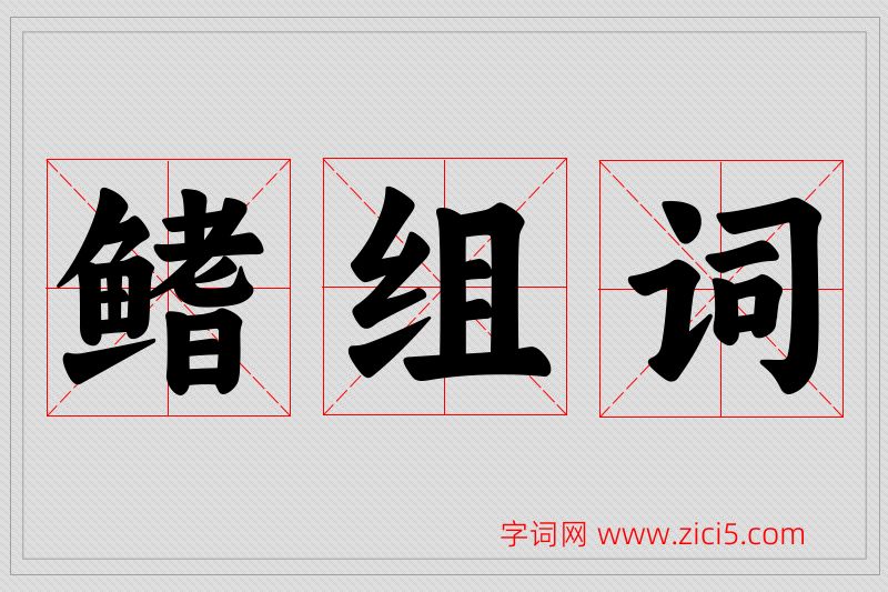 鳍字的组词