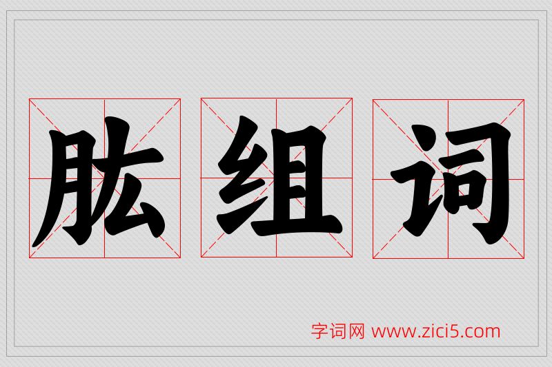 肱字的组词