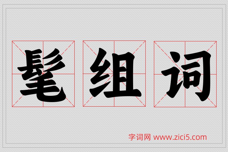 髦字的组词