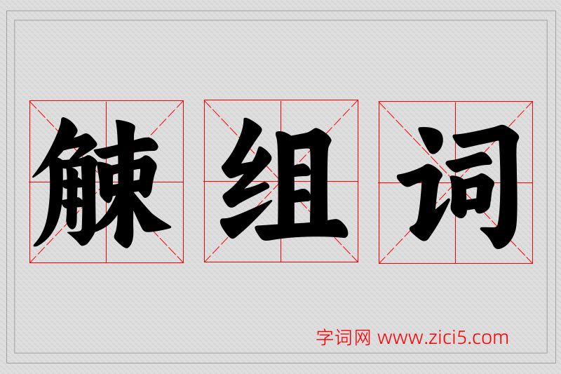 觫字的组词