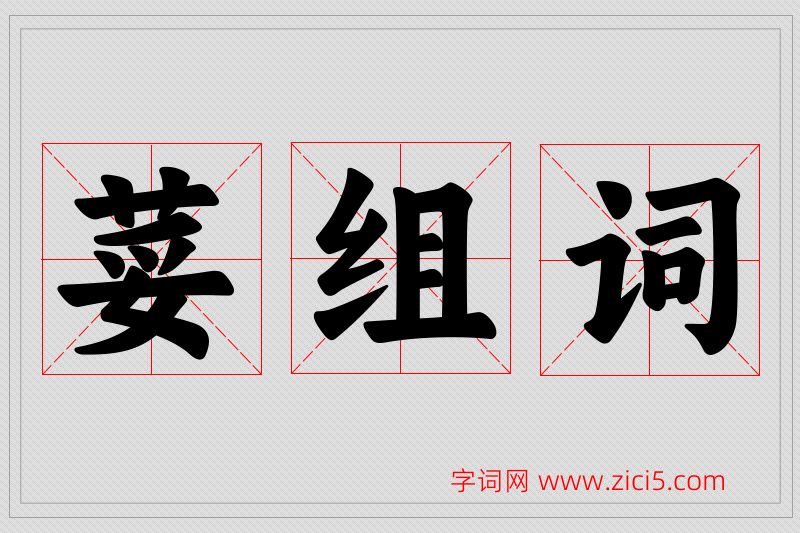 荽字的组词