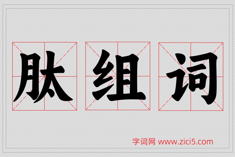 肽字的组词