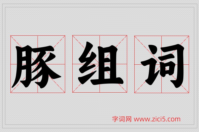 豚字的组词