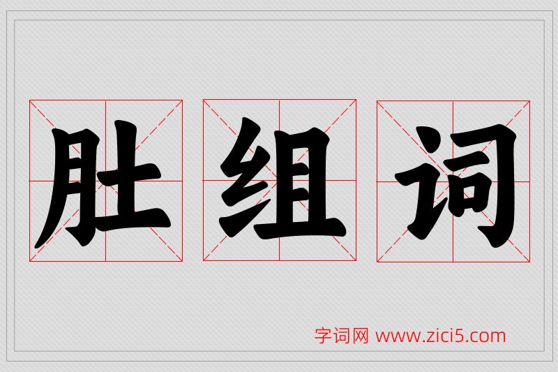 肚字的组词