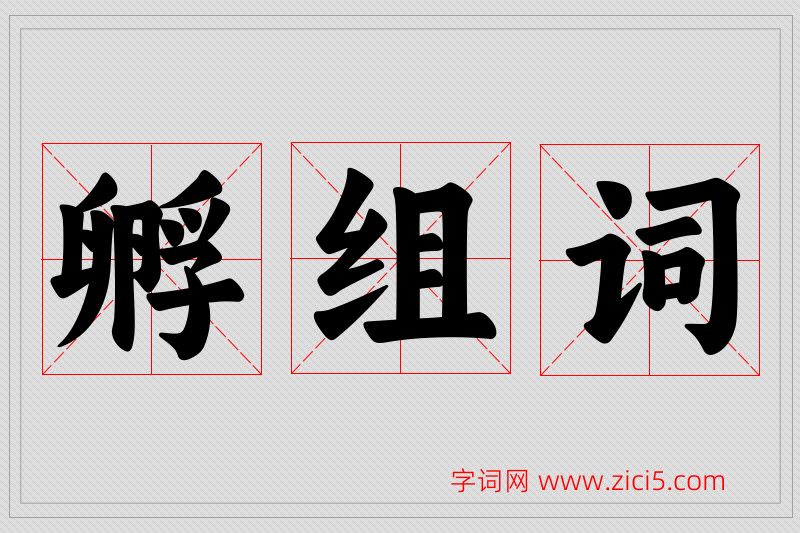 孵字的组词